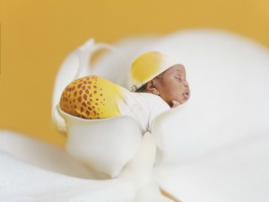anne-geddes-miracle.jpg